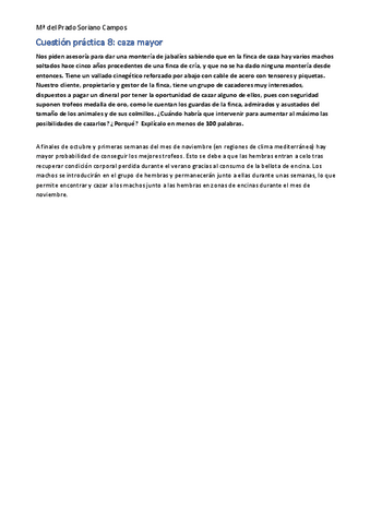 Cuestion-practica-8.pdf