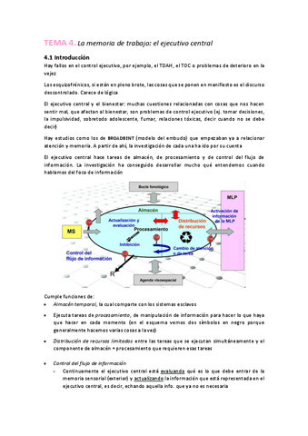 Memoria-parcial-2.pdf