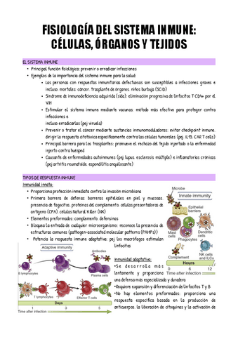 TEMA-2.pdf