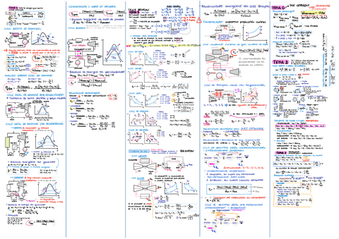 Formulario-TERMO.pdf