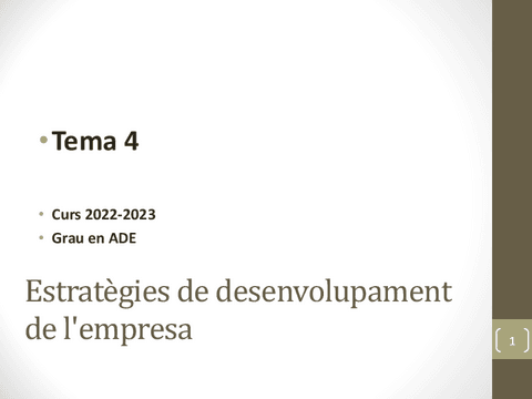 Dir-Estr-2022-Tema-4.pdf