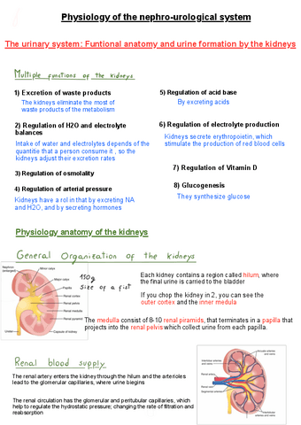 physiology-of-the-nephro-urological-system.pdf