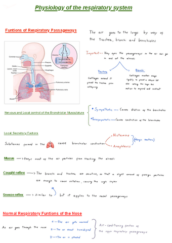 Physiology-of-the-respiratory-system-WJt.pdf