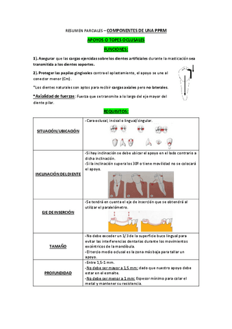 RESUMEN-COMPONENTES-DE-UNA-PPRM.pdf