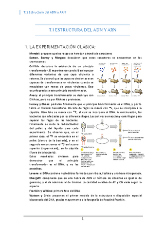 T.1-Estructura-del-ADN-y-ARN.pdf