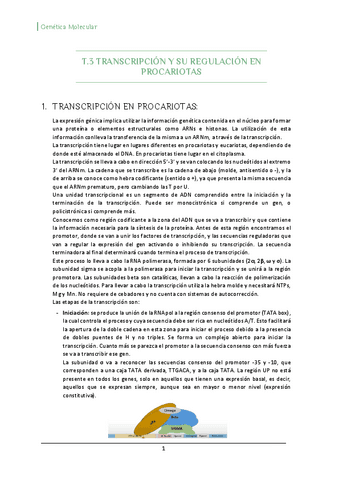 T3-Transcripcion-y-su-Regulacion-en-procariotas.pdf