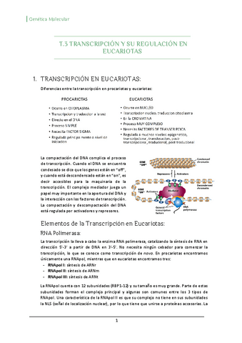 T3.2-Transcripcion-y-su-Regulacion-en-eucariotas.pdf