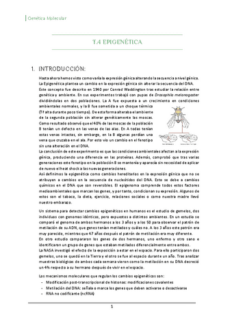 T4-Epigenetica.pdf