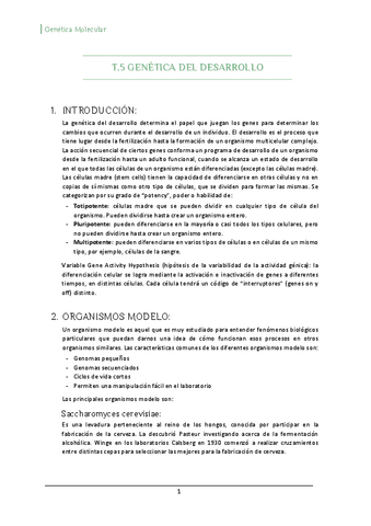 T5-Desarrollo.pdf