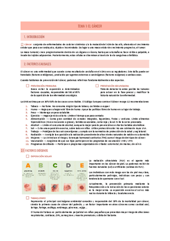 TEMA-1-PALIATIVOS.pdf