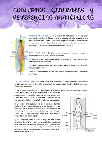 TEMA-1-ANATOMIA-EEII.pdf