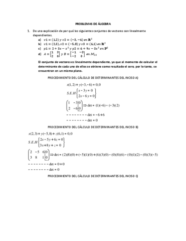 PROBLEMASALGEBRA.pdf