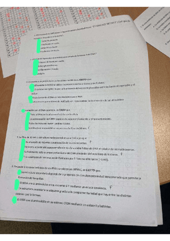 ordinaria 23 sin corregir.pdf