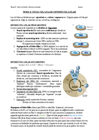 Bio-T9-teoria-CICLE-CELLULAR-I-DIVISIO-CELLULAR.docx.pdf