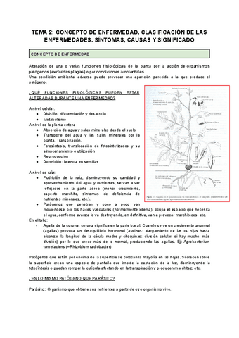 TEMA-2-CONCEPTOS-DE-ENFERMEDAD.-SINTOMAS-CAUSAS-Y-SIGNIFICADO.pdf