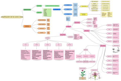 mapa-clasificacion-seres-vivos-ciencias-de-la-educacion-I.pdf