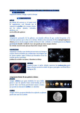 tema-4.1.-niveles-de-organizacion-ciencias-de-la-educacion-I.pdf