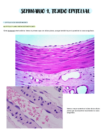 SEMINARIO-1.pdf