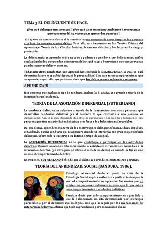 TEMA-3-EL-DELINCUENTE-SE-HACE.pdf