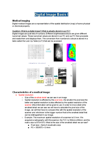 Introduction to bioengineering - imaging part.pdf