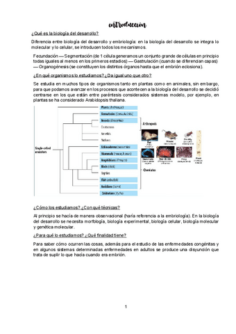 TEMA-1-DESARROLLO.pdf