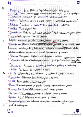 Morfologia-EBAU..pdf