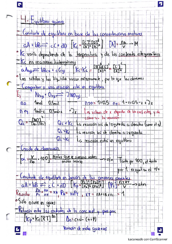 Equilibrio-Quimico-EBAU..pdf