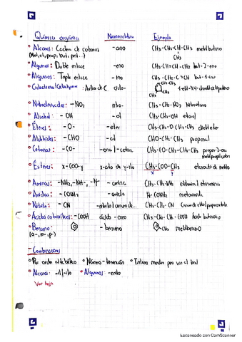 Distintos-compuestos..pdf