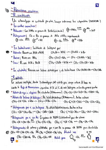 Reacciones-organicas..pdf