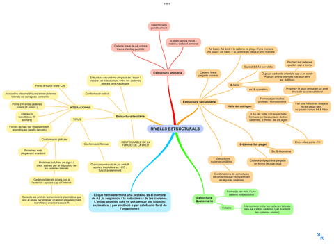Nivellsestructucturals.png