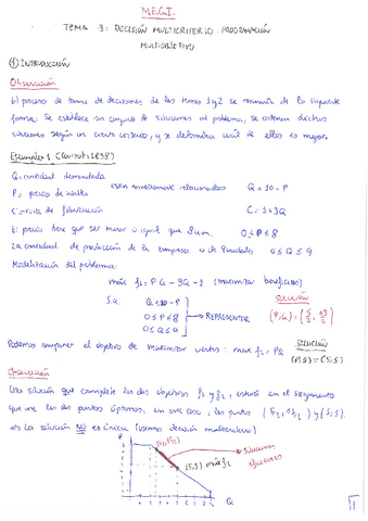 MEGI. Tema 4. Decisión multicriterio.pdf
