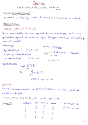MEGI. Tema 5. Optimización lineal discreta.pdf