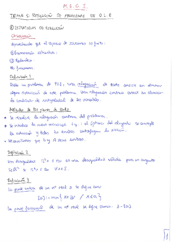 MEGI. Tema 6. OLE resolución.pdf