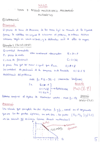 MEGI. Tema 4. Decisión multicriterio.pdf