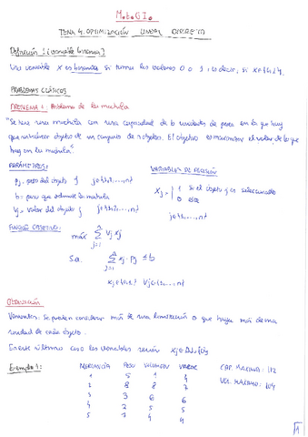 MEGI. Tema 5. Optimización lineal discreta.pdf