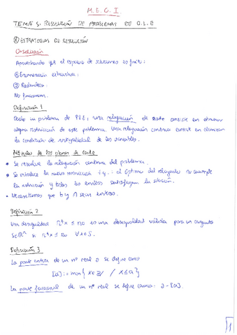MEGI. Tema 6. OLE resolución.pdf