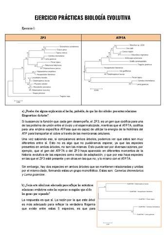 Ejercicio-practicas-biologia-evolutiva-Documentos-de-Google.pdf