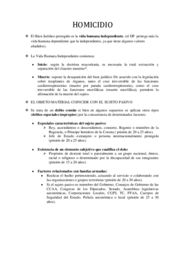 1. HOMICIDIO.pdf