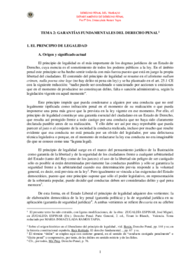 Tema 2-garantías fundamentales del Derecho Penal.pdf