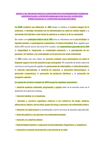 TEMA-4.pdf