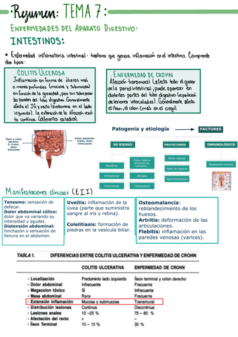 Resumen-7-FISIOPATOLOGIA.pdf