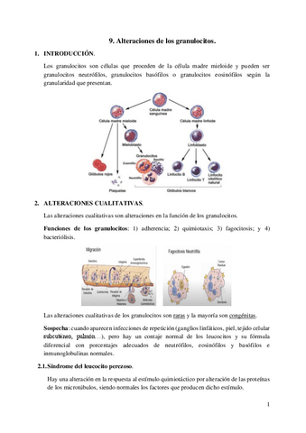 9.-Alteraciones-de-los-granulocitos.pdf