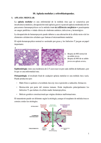 10.-Aplasia-medular.pdf