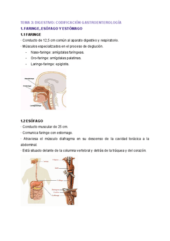 M7. CODIFICACIÓN SANITARIA T3.pdf