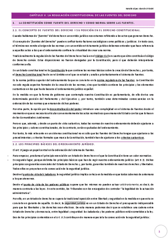 CAPITULO-V-resumido.pdf