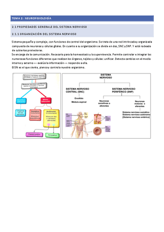2.1.1-Organizacion-del-sistema-nervioso.pdf