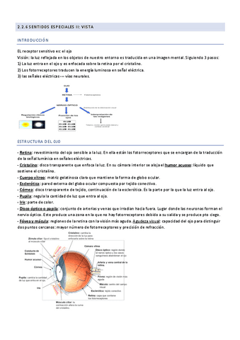 2.2.6-Vista.pdf