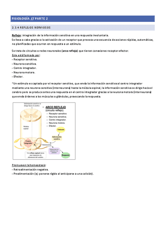 2.3.4-Reflejos-nerviosos..pdf