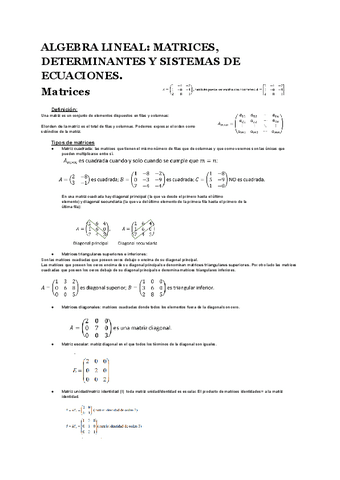Algebra-lineal-matrices-y-determinantes.pdf
