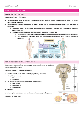 TEMA-6-Organizacion-SN.pdf